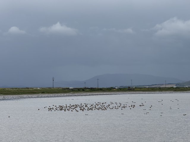 Tranquil Overcast at San Pablo Bay