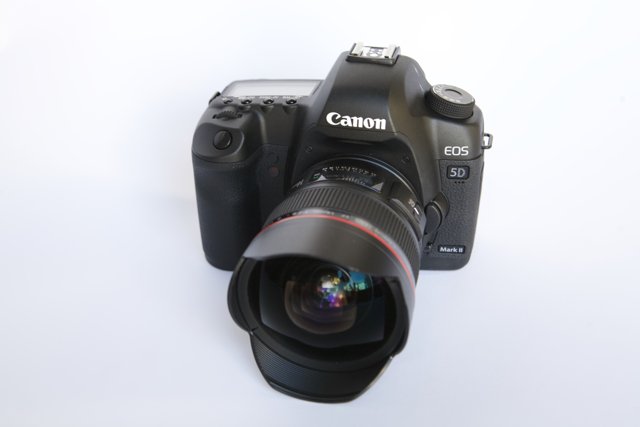 Canon EOS 5D Mark II in Action