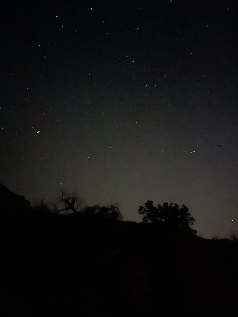 Stargazing in Sandia Park