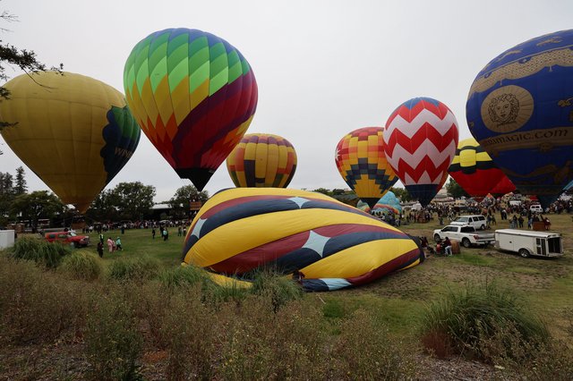 Colorful Hot Air Balloons Launch at Sonoma Classic