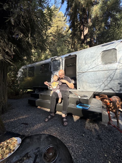 Sunlit Moments in the Redwoods