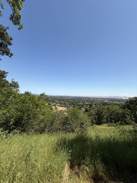 Tranquility in Walnut Creek