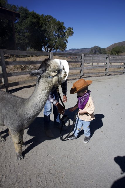 Little Cowboy's Adventure