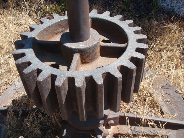 Rusty Gear Wheel in the Grass