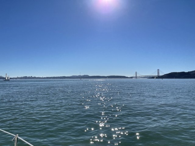 Golden Gate Bridge in the Heart of Nature