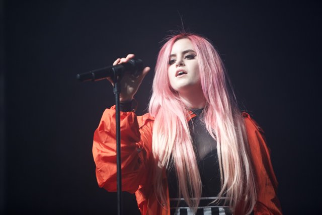 Pink-haired Singer Takes the Stage