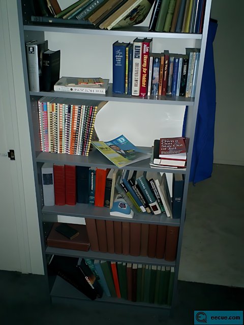 The Bookcase Filled with Publications and Novels