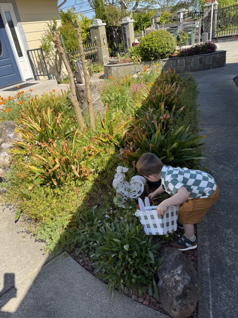Garden Adventures in Sebastopol