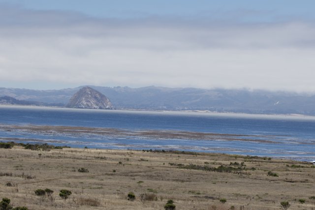 Tranquil Coastline at Cayucos