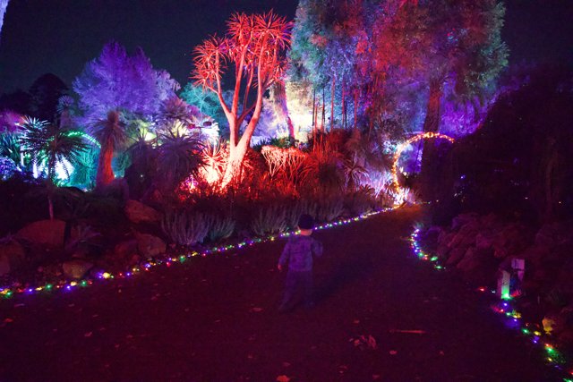 Enchanted Nights at Garden of D'Lights