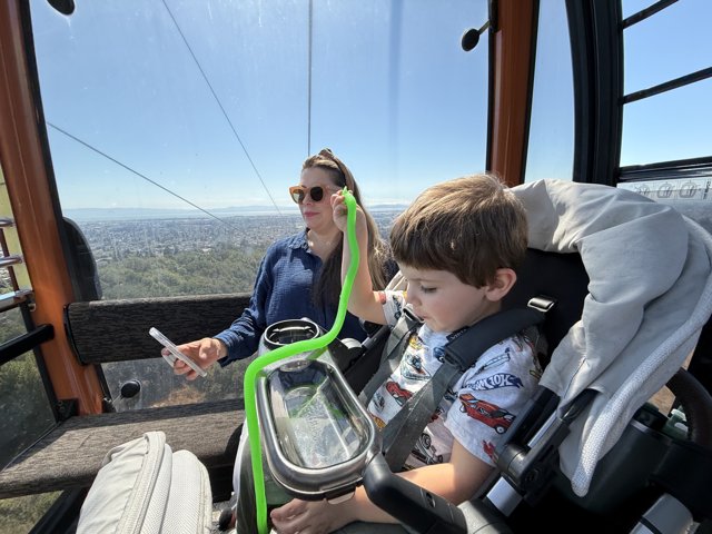Soaring Over Oakland
