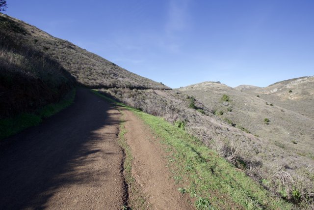 The Windy Path: Journey Through the Marin Headlands Hill 88