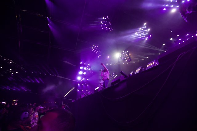 Purple Lights and Rocking Crowds