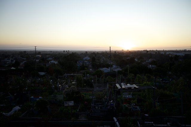 A Sunset View of the City from the Garden