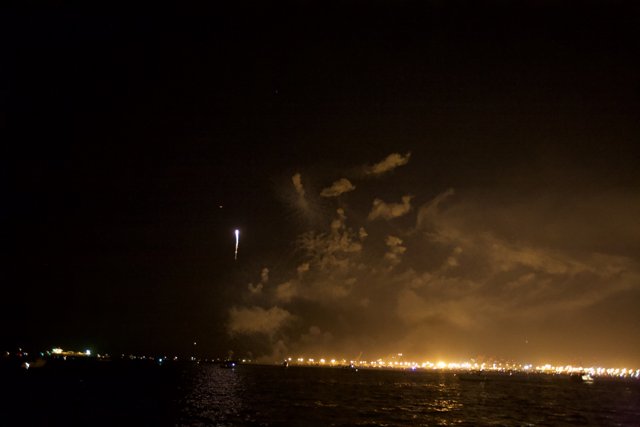 Sea Rocket under the Night Sky