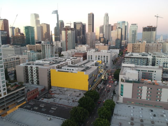 A Bird's Eye View of the Los Angeles Metropolis
