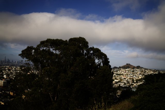 Urban Natural Meld: San Francisco Adventure