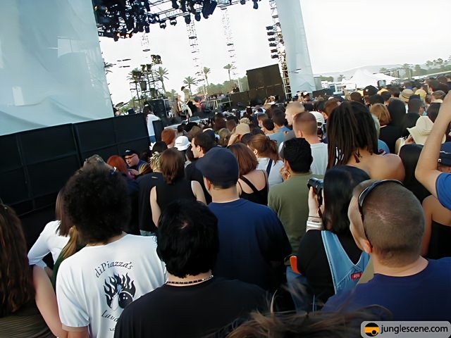 Coachella 2002: One Man and A Sea of Fans