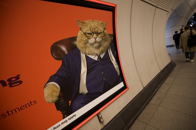 Humorous Cat in Business Suit Advertisement in London Underground