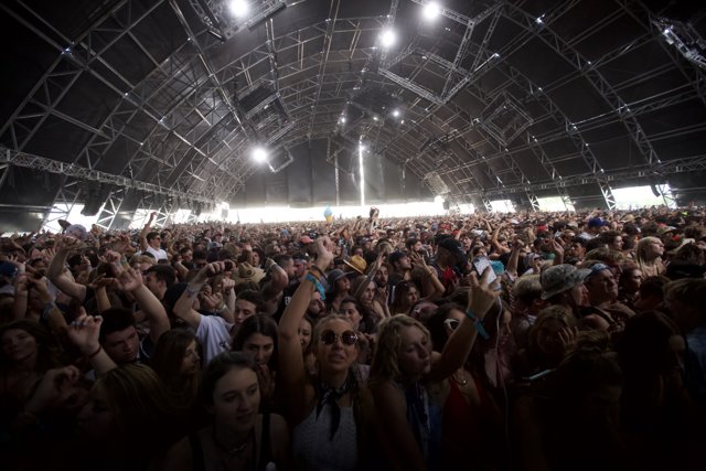 Coachella 2016: A Sea of Enthusiastic Fans
