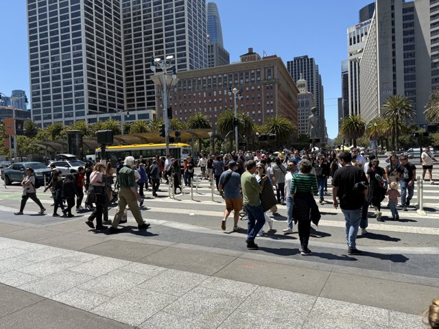 Urban Harmony: A Day in San Francisco