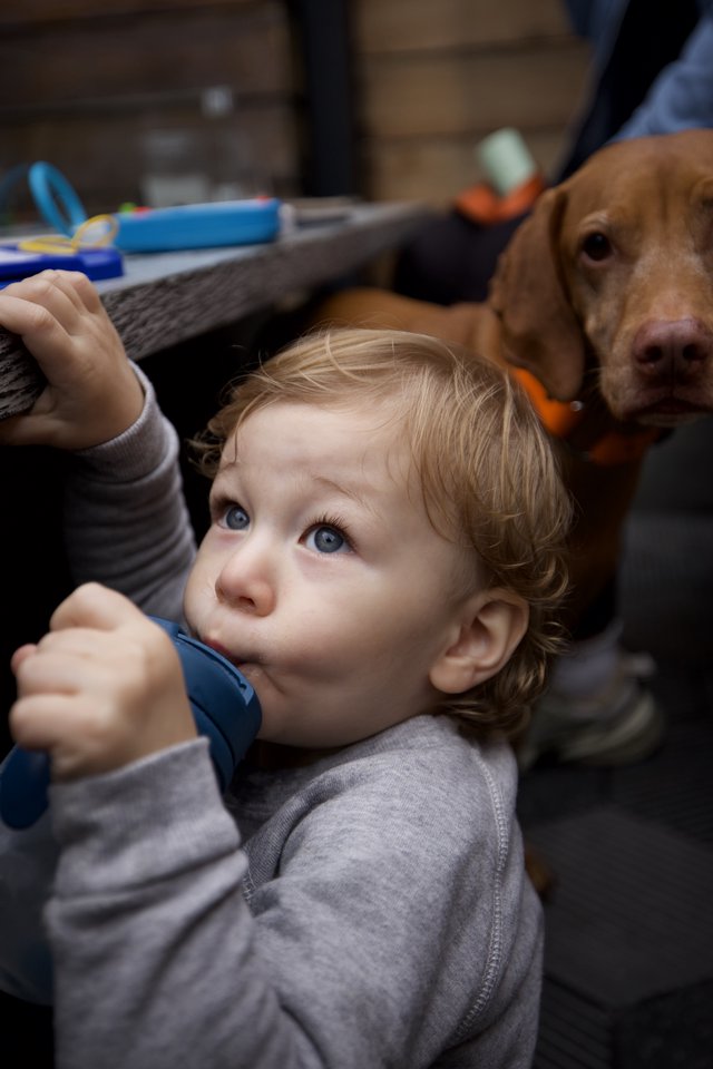 Child and Therapy Dog Share Tender Moment During Session