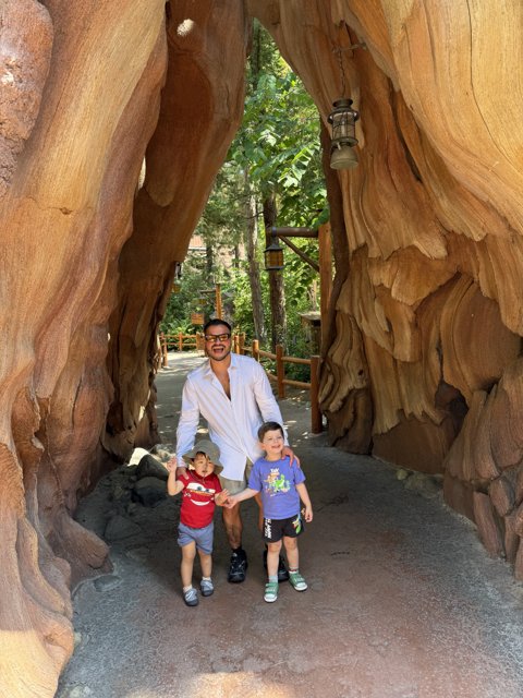 Adventure Awaits in Sequoia Land