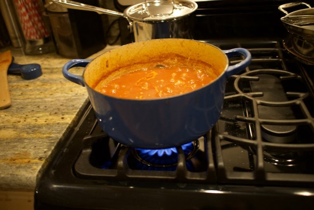 Comforting Curry Stew on the Stove
