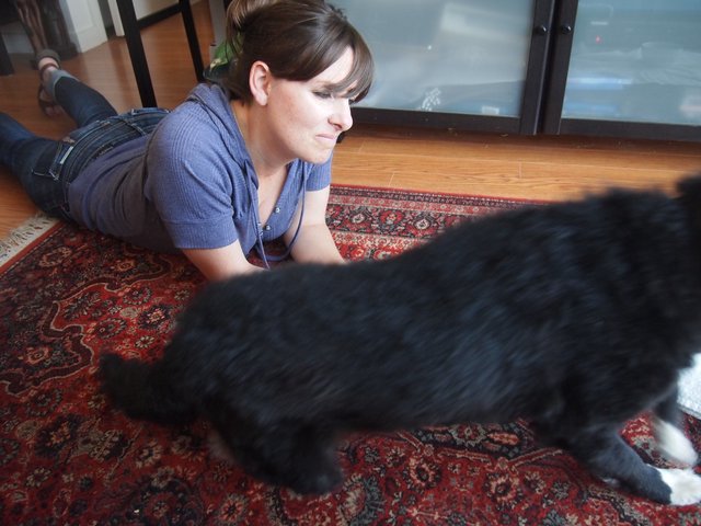 Woman Connects with Black Cat on Persian Rug