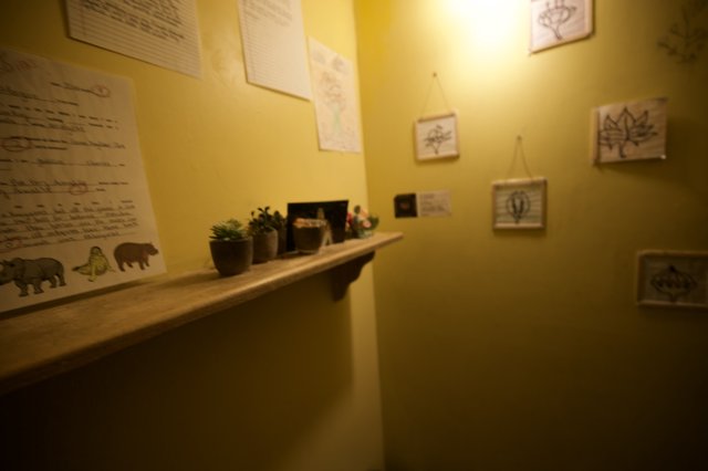 Educational Exhibit Corner with Botanical and Wildlife Illustrations