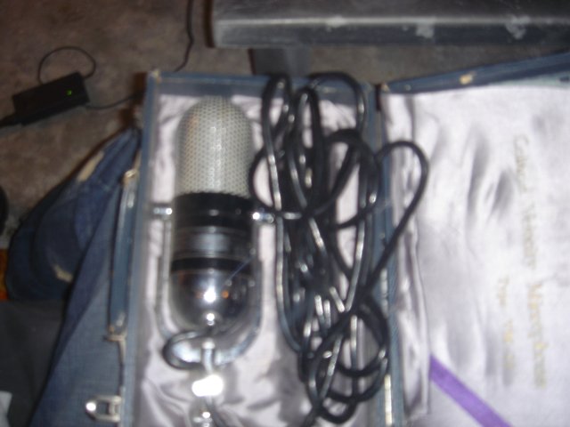 The Mic and Its Case