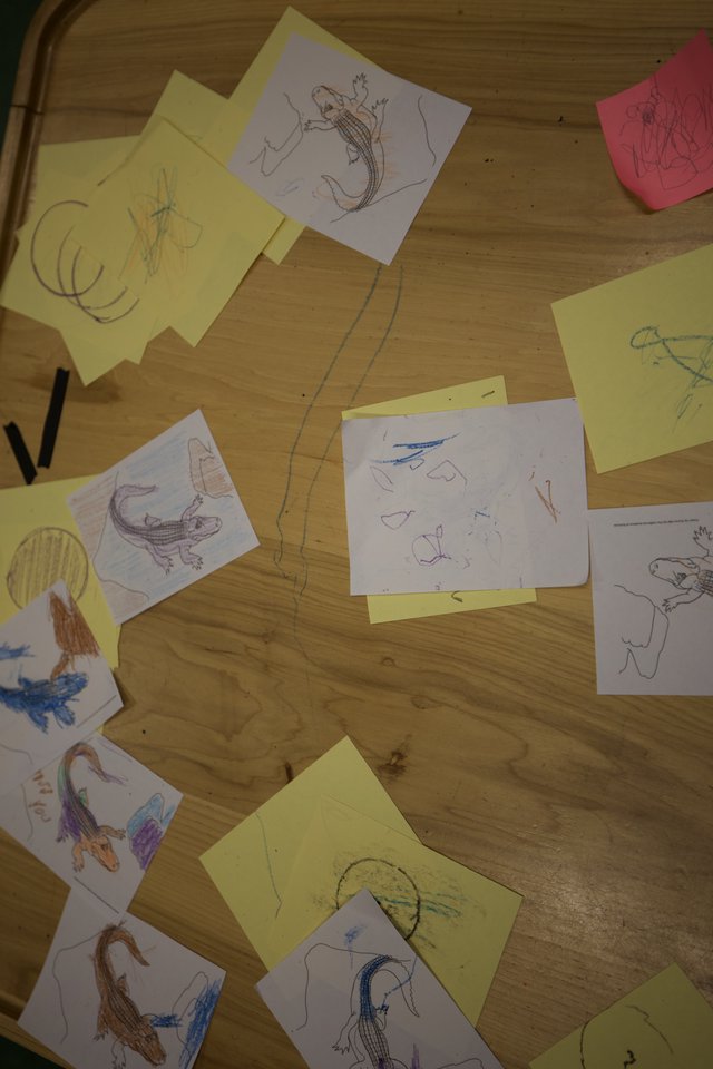 Children's Reptile Drawing Collection Scattered on Wooden Table