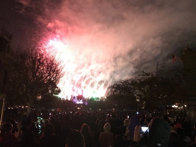 Magical Fireworks at Disneyland