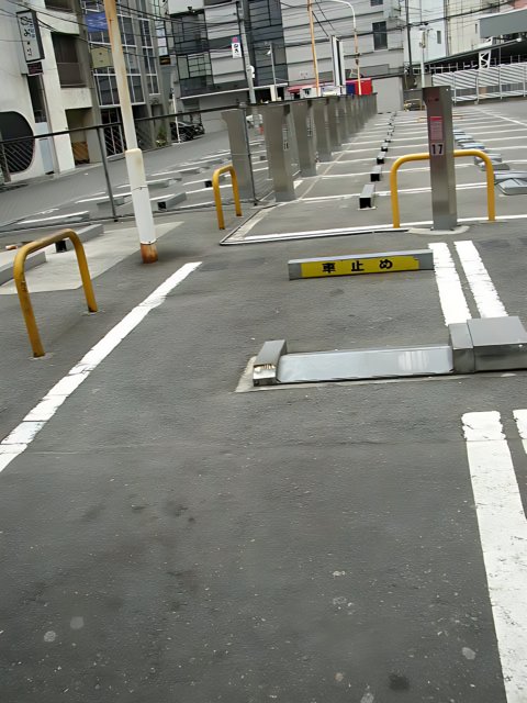 Street Parking Options