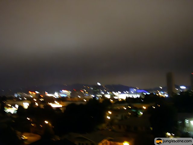 Nighttime Metropolis View