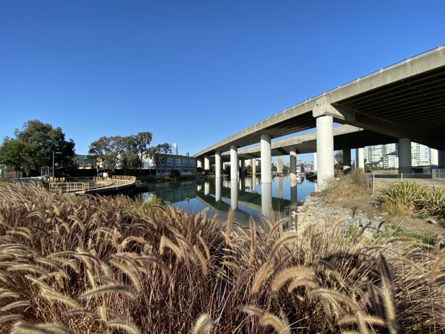 A Bridge Across Urban Scenery
