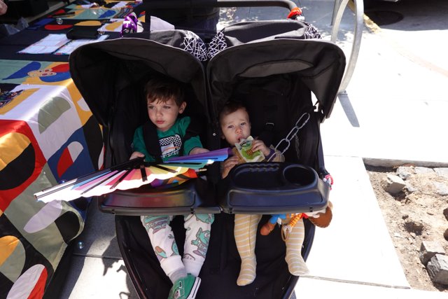 Stroll and Play on a Sunny Day