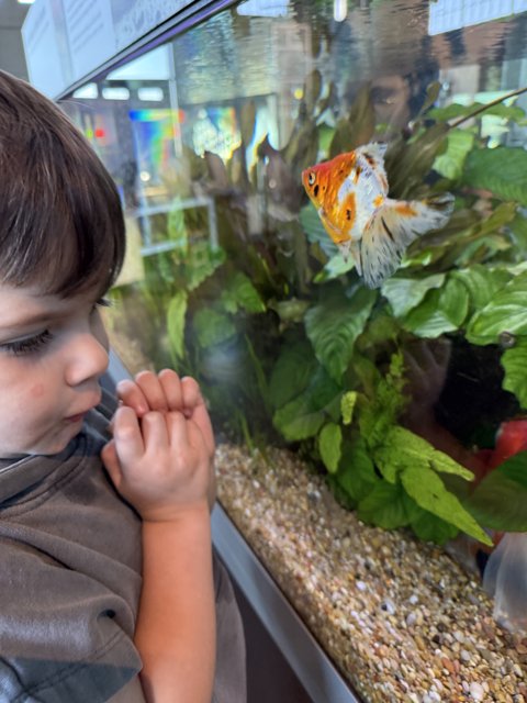 Captivated by the Aquarium Wonders