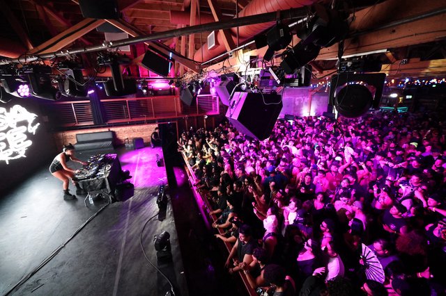 DJ Ignites Massive Crowd at Wobbleland 2026