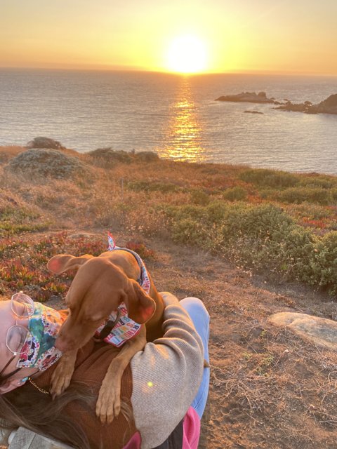 Sunset Serenade with a Furry Friend