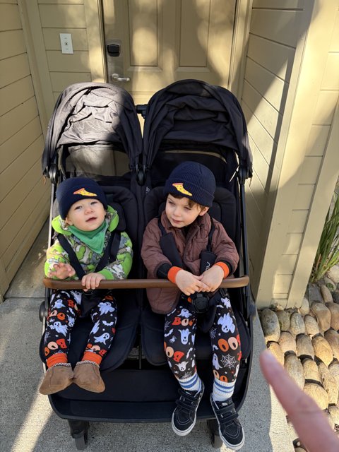 Cozy Duo in Carmel