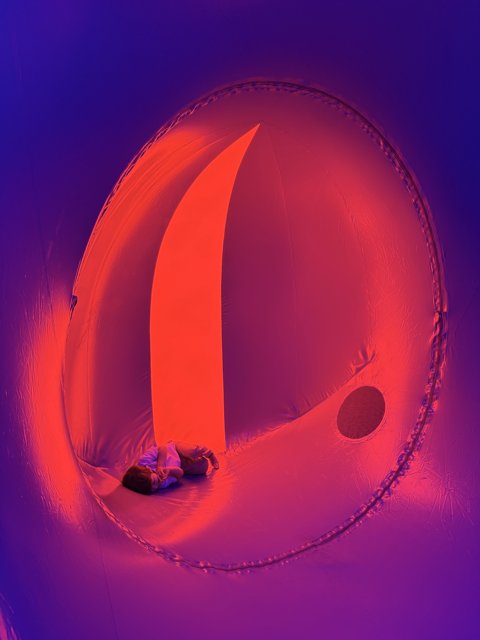 Enveloped in Abstract Beauty