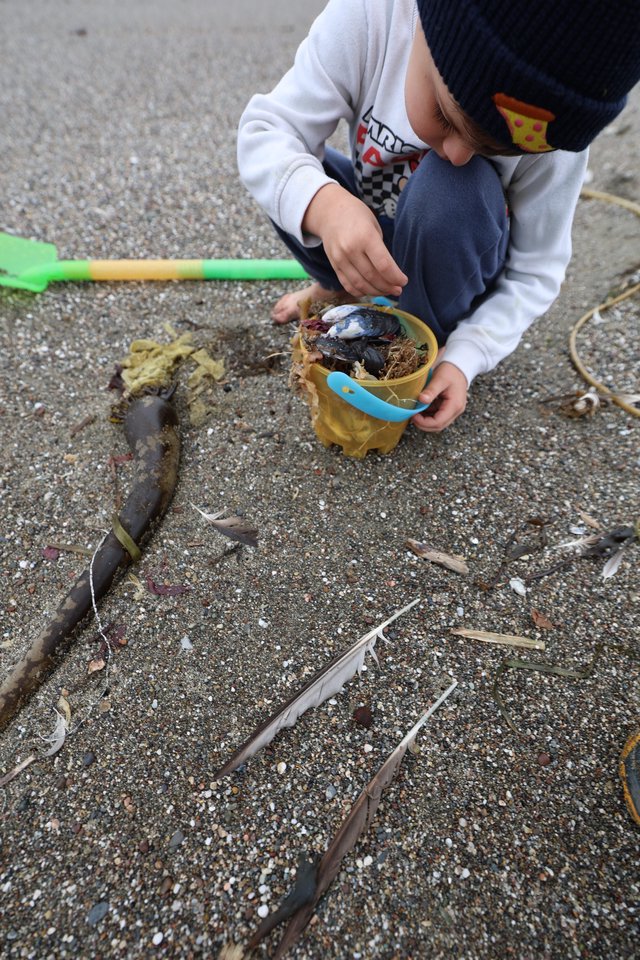 Young Explorer Collecting Beach Treasures in Sand