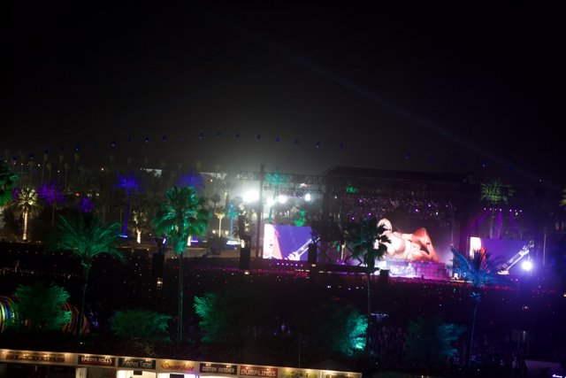 Palm Trees and Spotlights at Night Concert