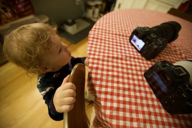 Young Child Participating in Christmas Product Photography Session