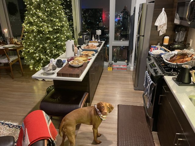 Christmas Pup in the Kitchen