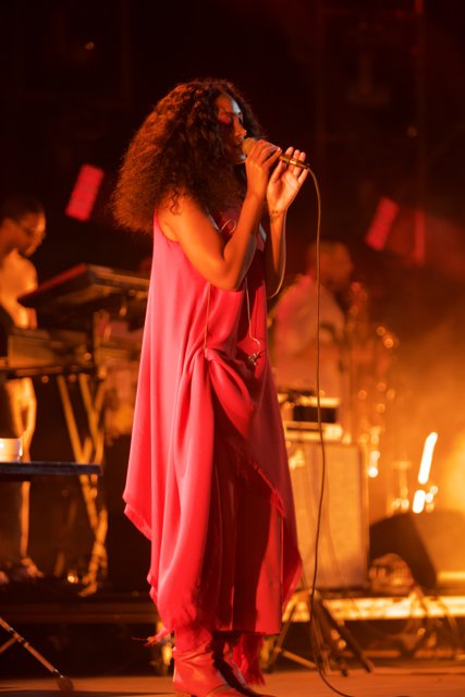 Solange Shines on Stage in Pink Gown