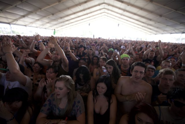 The Ultimate Crowd-Pleasing Music Festival