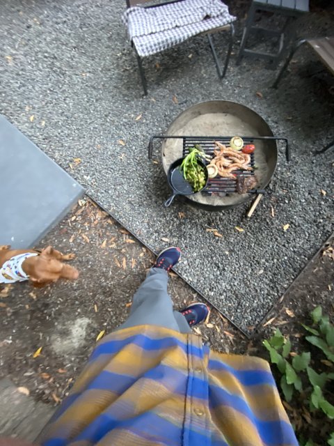 BBQ Time with a Furry Friend