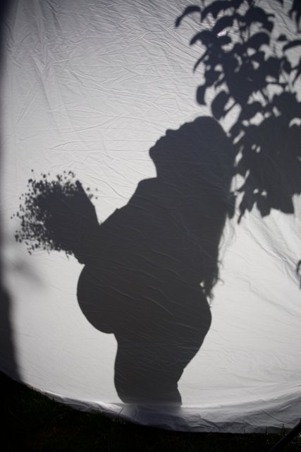 Motherhood in Silhouette